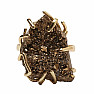 Ring für die Hexe Magie im Stein Nr. 14