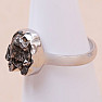 Meteoritenring Campo del Cielo Silber Ag 925 R2047