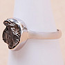 Meteoritenring Campo del Cielo Silber Ag 925 R2057