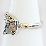 Meteoritenring Campo del Cielo Silber Ag 925 R2069