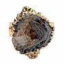 Achat Hexenring Ring der Absicht Nr. 21