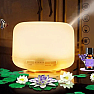 Aroma Diffusor helles Holz mit Fernbedienung