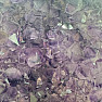 Amethyst-Druse am Stand 24