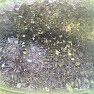 Amethyst-Geode poliert AAA-Qualität Uruguay 1