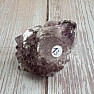 Amethyst-Kaktus-Druse JAR 13