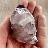 Amethyst-Kaktus-Druse JAR 13