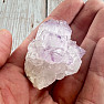 Amethyst-Kaktus-Druse JAR 14