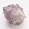 Amethyst-Kaktus-Druse JAR 18