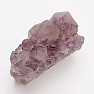 Amethyst-Kaktus-Druse JAR 22