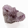 Amethyst-Kaktus-Druse JAR 16