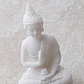Buddha mit einer Amrita-Vase