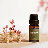 Von Nefertitis Zitronengras 100% ätherisches Öl 10 ml