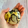 Polierte Septaria Madagascar Heart P6-24