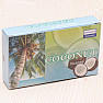 Darshan Coconut Duftkegel