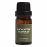 Von Nefertitis Eucalyptus globulus 100% ätherisches Öl 10 ml
