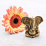 Feng Shui-Statuette aus Ganesha-Messing