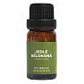 By Nefertitis Weißtanne 100% ätherisches Öl 10 ml