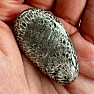 Schwarze getrommelte fossile Koralle Marokko 6