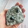Obsidian Apache Tear in the USA Matrix 6