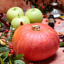 Nofretete Räuchermischung Mabon - Herbst-Tagundnachtgleiche