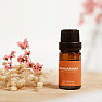 Von Nefertitis Mandarine 100% ätherisches Öl 10 ml
