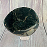 Septoria Drachenei Madagaskar OS-7