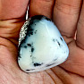 Opal dendritischer Truthahn getrommelt 9