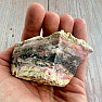 Rosa Opal roh 13
