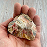 Rosa Opal roh 14
