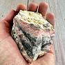 Rosa Opal roh 2