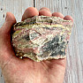 Rosa Opal roh 6