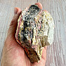 Rosa Opal roh 7