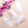 Gua Sha in Muschelflossenform