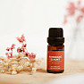 Von Nefertitis Süße Orange 100% ätherisches Öl 10 ml