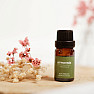 Von Nefertitis Rhizome 100% ätherisches Öl 10 ml