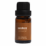 Von Nefertitis Zimt 100% ätherisches Öl 10 ml