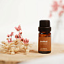 Von Nefertitis Zimt 100% ätherisches Öl 10 ml