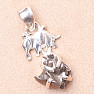 Meteorit-Anhänger Campo del Cielo Silber Ag 925 Y5660