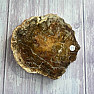 Versteinertes Holz, polierter Schnitt 22