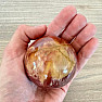 Versteinerte Holzkugel Madagaskar 19