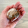 Versteinerte Holzkugel Madagaskar 21