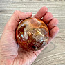 Versteinerte Holzkugel Madagaskar 23