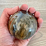Versteinerte Holzkugel Madagaskar 26
